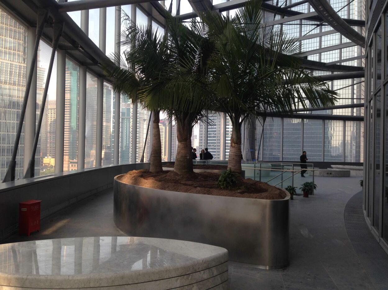 “上海中心大廈”外環境景觀設計及功能提升